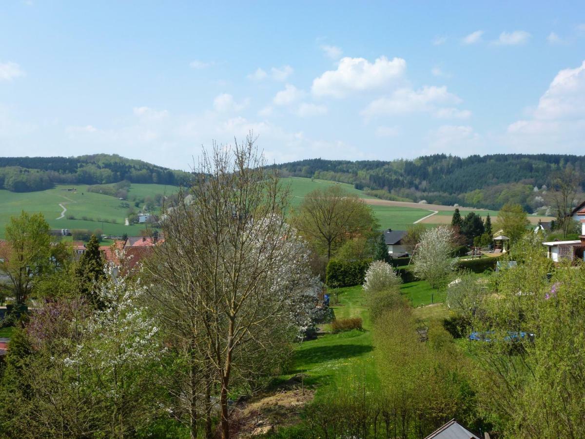 Ferienwohnungen Finke Frankenau Exterior foto